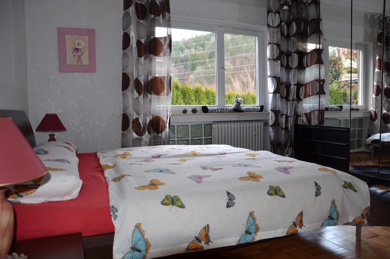 Ferienwohnung Klock Weisenbach Buitenkant foto