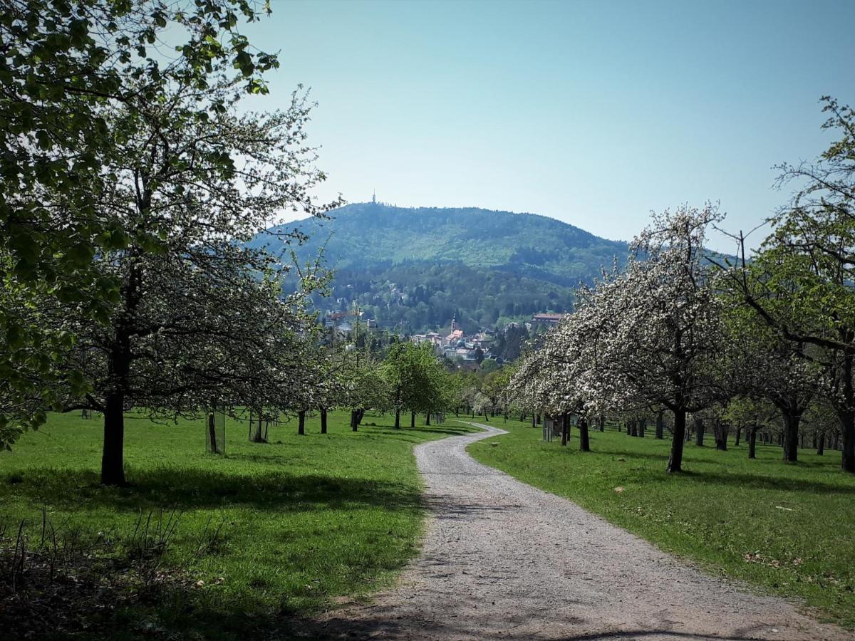 Ferienwohnung Klock Weisenbach Buitenkant foto