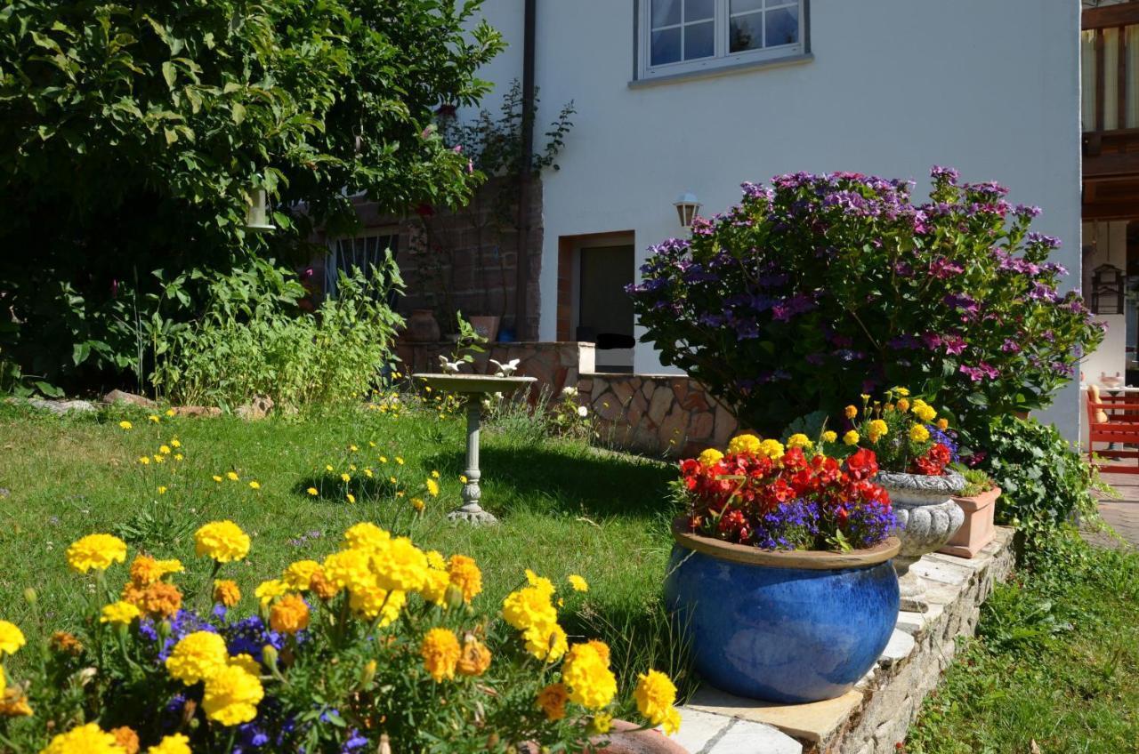 Ferienwohnung Klock Weisenbach Buitenkant foto
